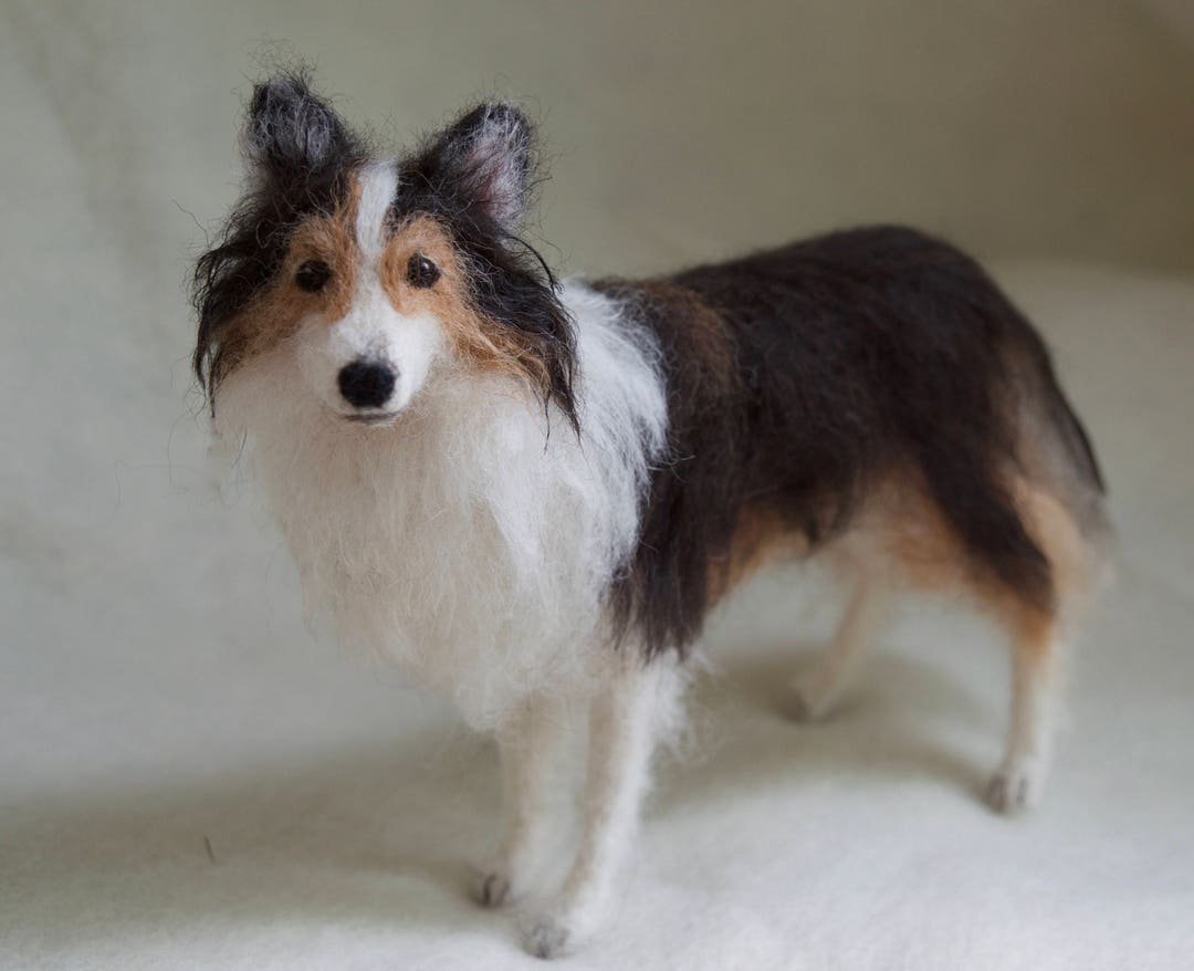 Sheltie slippers new arrivals