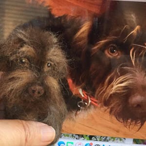 Needle Felted Wirehaired Pointing Griffon, Wool Pet Portrait image 3