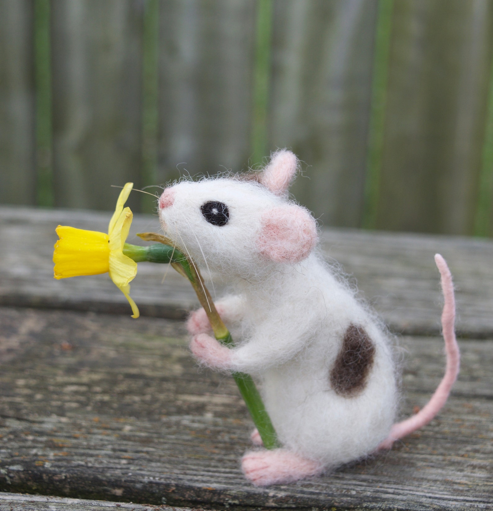 Needle Felted Pet Mouse Custom Poseable Realistic Life Sized Etsy Needle Felted Pet Mouse Custom Poseable Realistic Life Sized Etsy