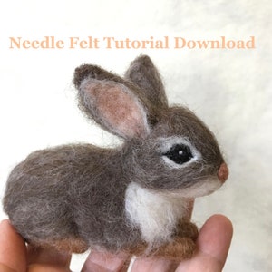 Tutorial Needle Felt Bunny Rabbit, Instant Download PDF, 12 Detailed Pages, 64 Photos