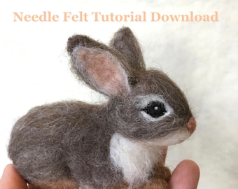 Tutorial Needle Felt Bunny Rabbit, Instant Download PDF, 12 Detailed Pages, 64 Photos