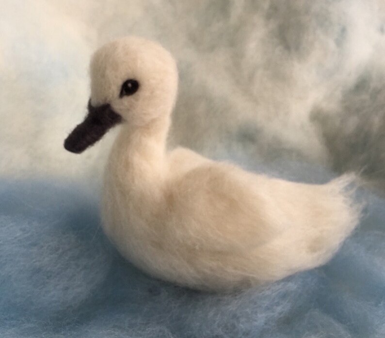 Needle Felted Baby Swan Life sized Wool Swan Etsy