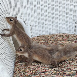 Needle Felted Squirrel Grey, Poseable image 8