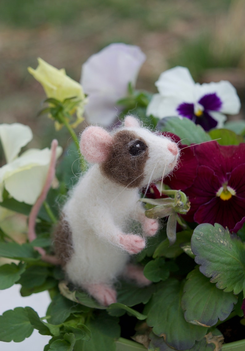 Needle Felted Pet Mouse Custom Poseable Realistic Life Sized Etsy Needle Felted Pet Mouse Custom Poseable Realistic Life Sized Etsy