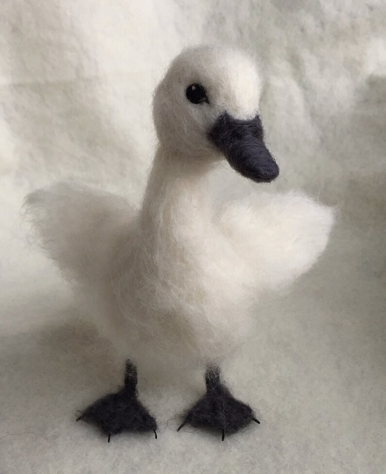 Needle Felted Baby Swan Life sized Wool Swan Etsy
