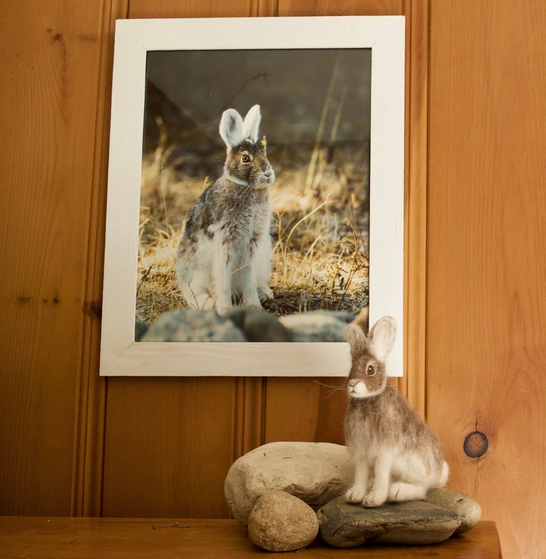 Needle Felted Arctic Snowshoe Hare Poseable Woodland Animal Etsy Canada