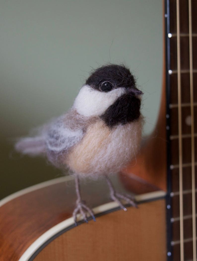 Needlefelt Chickadee, Black Capped, Life Size Songbird image 3