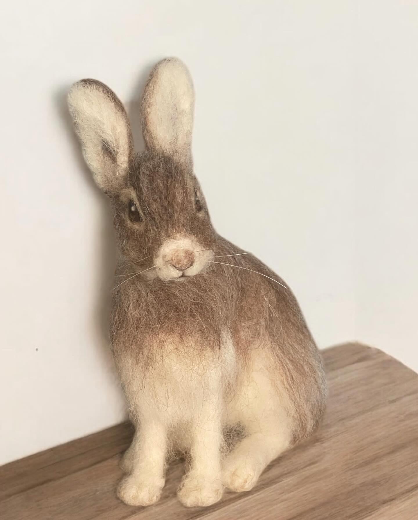 Needle Felted Arctic Snowshoe Hare Poseable Woodland Animal - Etsy