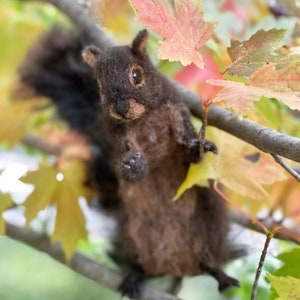 Needle Felted Squirrel Black, Poseable, Realistic, Wool Sculpture