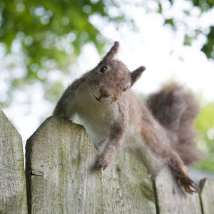 Needle Felted Squirrel Grey, Poseable image 9