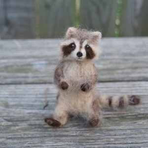 Raccoon Needle Felted Baby, Woodland Baby Animal, Wool Forest Decor, 4 to 5 inches image 8