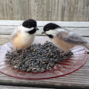 Needlefelt Chickadee, Black Capped, Life Size Songbird image 5