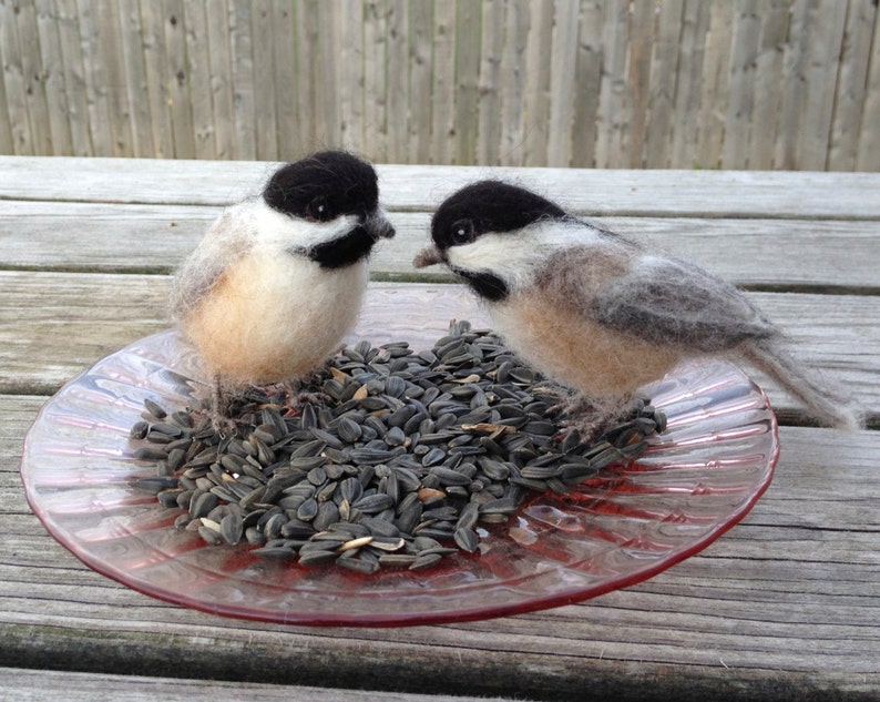 Needlefelt Chickadee, Black Capped, Life Size Songbird image 5