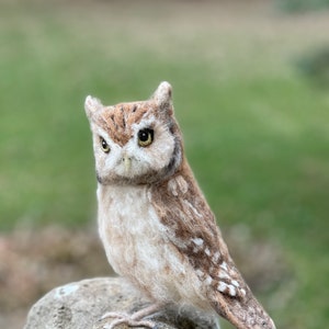 Needle Felted Screech Owl - Etsy
