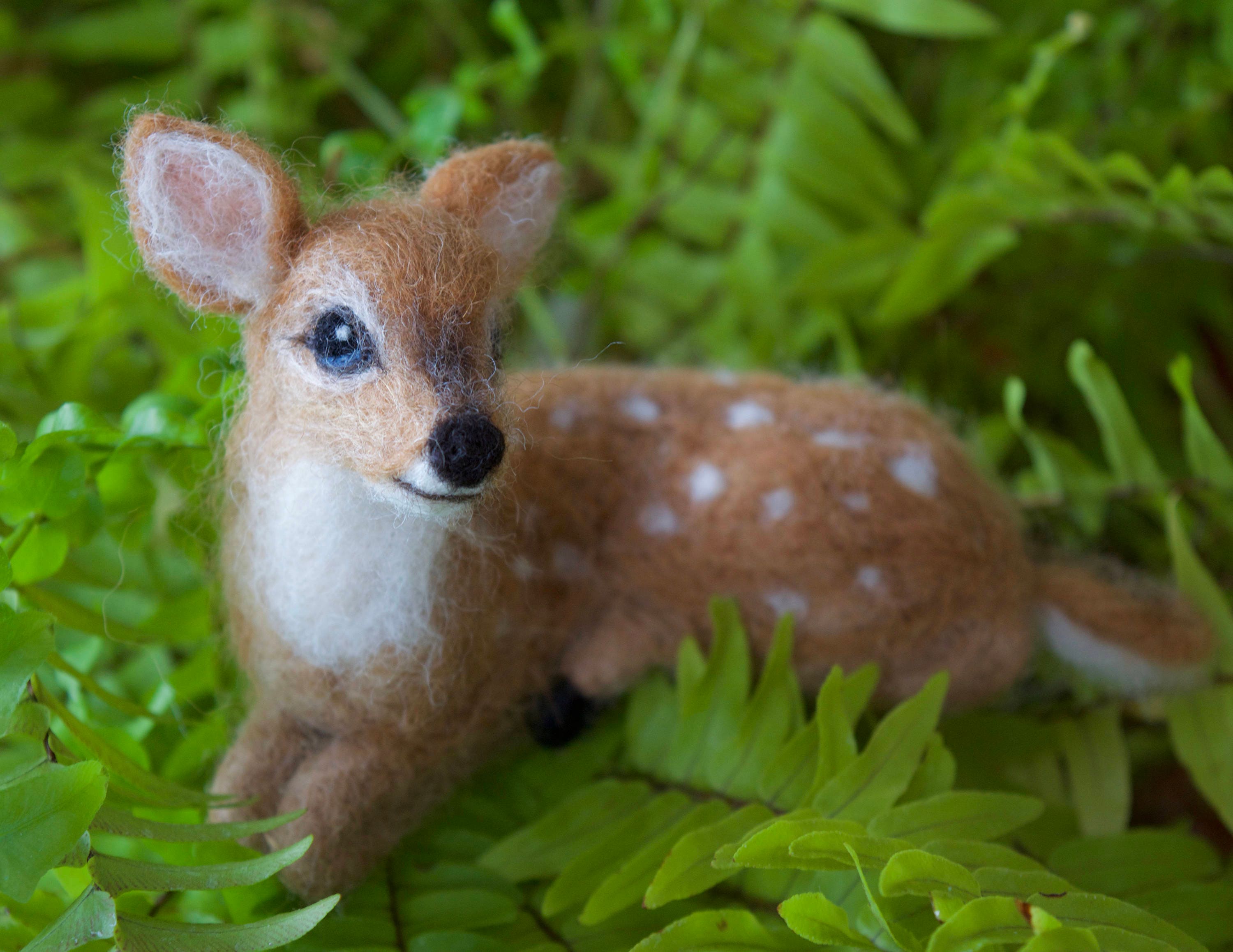 ニードルフェルトの鹿の子、丸まって横たわっている、柔らかいアルパカ