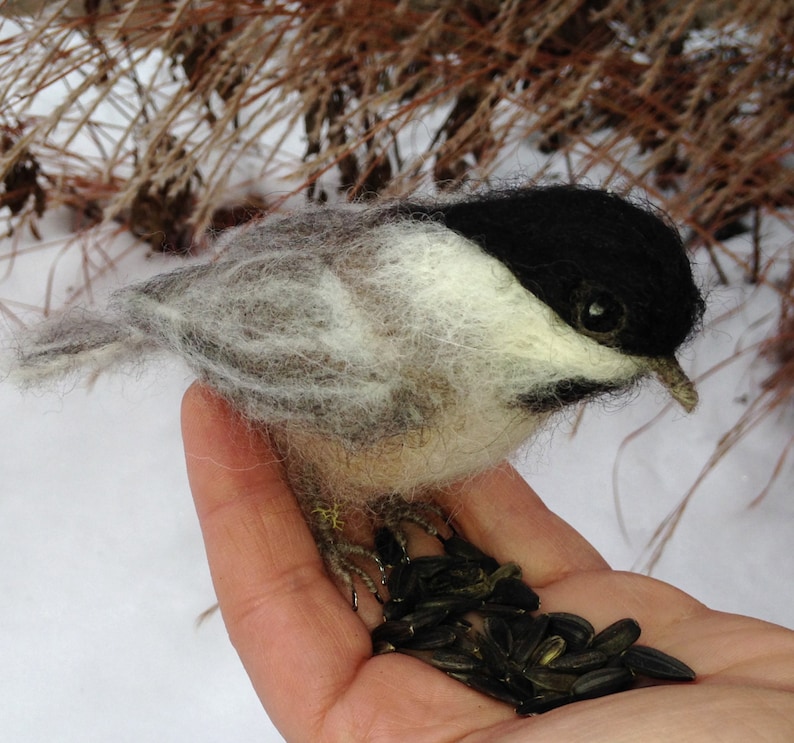 Needlefelt Chickadee, Black Capped, Life Size Songbird image 8