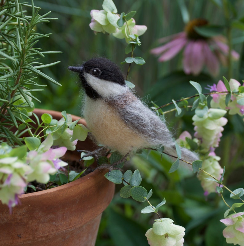 Needlefelt Chickadee, Black Capped, Life Size Songbird image 6