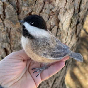 Needlefelt Chickadee, Black Capped, Life Size Songbird image 1