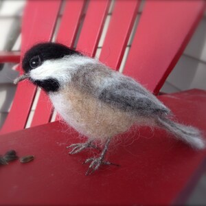 Needlefelt Chickadee, Black Capped, Life Size Songbird image 7