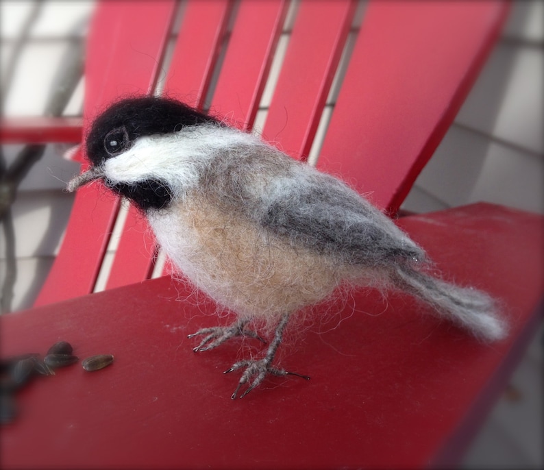 Needlefelt Chickadee, Black Capped, Life Size Songbird image 7