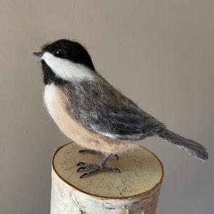 Needlefelt Chickadee, Black Capped, Life Size Songbird image 2