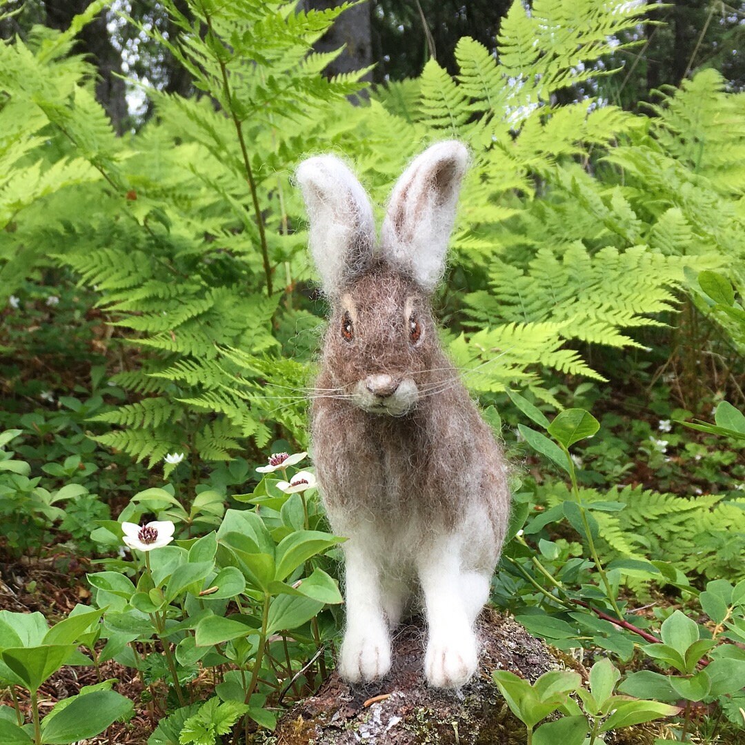 Needle Felted Arctic Snowshoe Hare Poseable Woodland Animal Etsy Canada