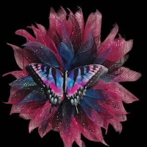 Butterfly Wreath: Multi-Colored Spring Summer Door Decor