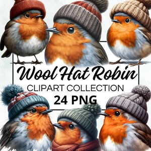 Pacote de clipart em aquarela de chapéu Robin Wool, álbum de recortes digital e gráficos artesanais para convites, imprimíveis, projetos DIY, download instantâneo