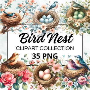 35 Clipart, Watercolor Bird Nest, Watercolor Clipart, PNG format, Instant Download for Commercial Use
