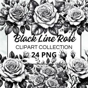 24 Watercolor Black Line Rose Clipart Bundle, Watercolor Clipart, PNG format, Instant Download for Commercial Use