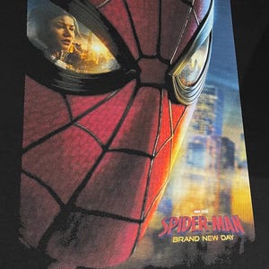 Puede incluir: Una camiseta negra con un gran estampado gr&aacute;fico de la m&aacute;scara de Spider-Man en rojo y negro. Las lentes de la m&aacute;scara reflejan una escena urbana y una persona. El texto "SPIDER-MAN" y "BRAND NEW DAY" aparece en rojo y amarillo abajo.