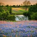 see more listings in the Texas Landscapes section