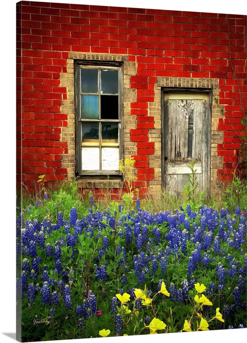 Texas Wildflower Bluebonnets Door Red Brick original photograph Canvas Art Wild Flowers Landscape Photo image 3