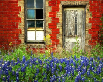 Texas Wildflower Bluebonnets Door Red Brick original photograph - Canvas Art Wild Flowers Landscape Photo