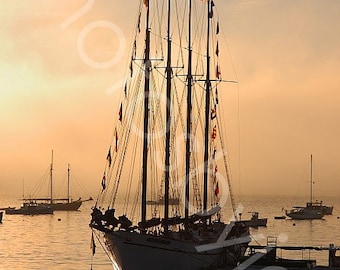 Bar Harbor Boat - 8x12 signed and numbered original photograph - schooner sailboat