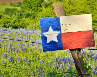 Texas Springtime Flag Wood Bluebonnets original photograph - Canvas Art Wild Flowers Landscape Photo