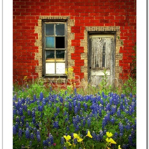 Texas Wildflower Bluebonnets Door Red Brick original photograph Canvas Art Wild Flowers Landscape Photo image 4