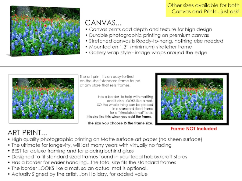 Photo originale de Texas Bluebonnets Springtime Sunset Paintbrush Pond Photo de paysage de fleurs sauvages sur toile image 2