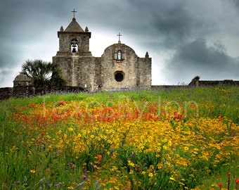 Texas Springtime Wildflowers Goliad original photograph - Canvas Art Wild Flowers Landscape Photo