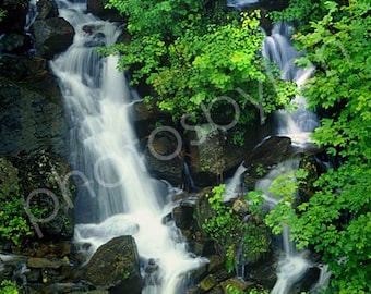 Falls at Bent Run Creek - 8x12 signed and numbered original photograph, waterfall