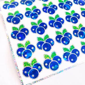 Blueberry Stickers, set of 30 blue berry summer fruit stickers for envelopes, recipe cards, notebooks, signs and craft projects.