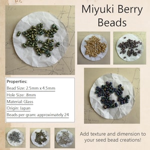 Miyuki Berry Beads (10 grams)  2.5x4.5mm - choose color