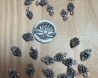 8 Smaller Pinecone Charms and 15 Bigger Pinecone Charms