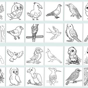 70 Printable Bird Coloring Pages: A Collection of Diverse Birds for All ...