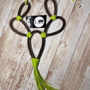 Hanging Lariat Cactus
