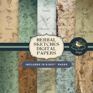 Schizzi di erbe digitali / 10 pagine di download / Botanical Junk Journal / Pagine di sfondo per album / Papercraft Herbal Papers