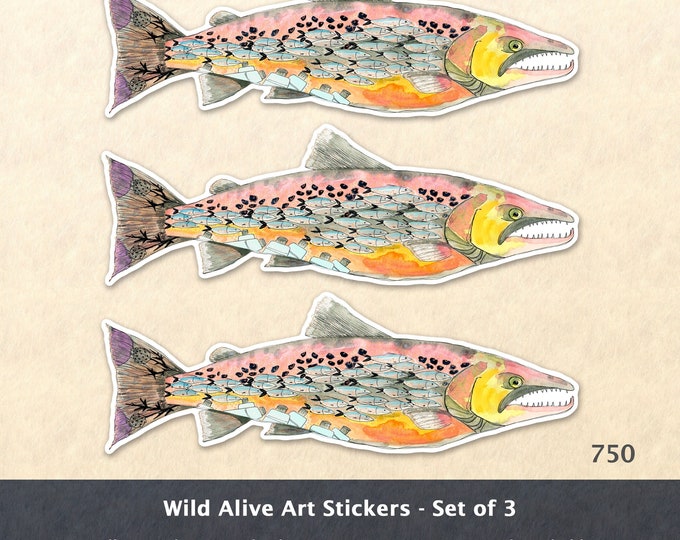 Fish Sticker Salmon Sticker Eco Sticker Sea Life Sticker Laptop Sticker Water Bottle Sticker Scrapbooking Sticker Macbook Decal
