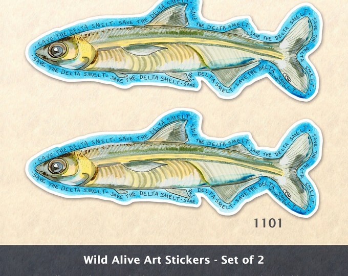 Save the Delta Smelt Fish Sticker Eco Sticker Sea Life Sticker Laptop Sticker Water Bottle Sticker Scrapbooking Sticker Macbook Decal