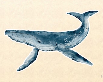 Whale Stickers, Sea Life Stickers, Wildlife Stickers, Humpback Whale, Laptop Stickers, Water Bottle Sticker, Macbook Decal