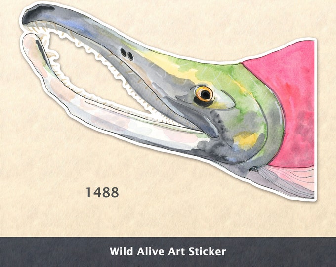 Sockeye Salmon Sticker Animal Sticker Fish Sticker Sport Fishing Sticker Water Bottle Sticker Scrapbook Sticker Macbook Decal Watercolor Art